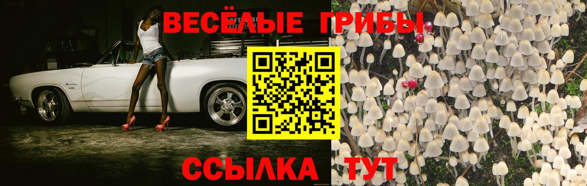 Ростов Великий  Галлюциногенные грибы Psilocybine cubensis  Псилоцибиновые грибы MAGIC MUSHROOMS  Вход с VPN 